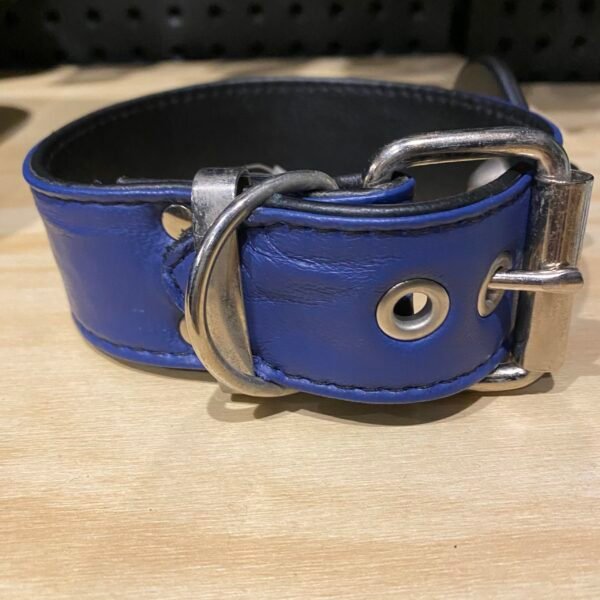 Arm Band/Collar - 38mm Soft Sewn Leather (Buckle) - Image 5