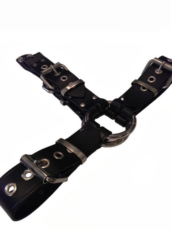 Harness 3/4 Adjustable 38mm Garment Leather